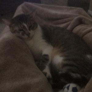 Meet your Posher, Austin